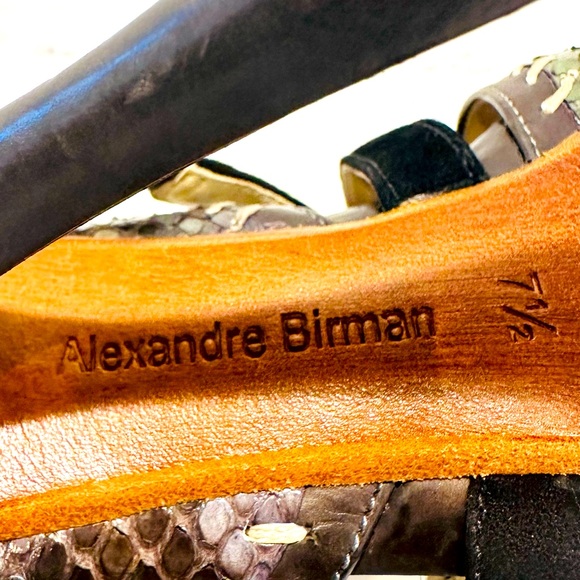 Alexandre Birman Python Pumps - Picture 4 of 7